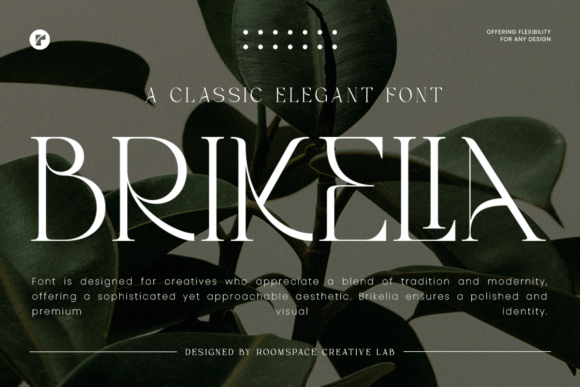 Brikelia: A Refined Serif Font for Modern Brand Identity